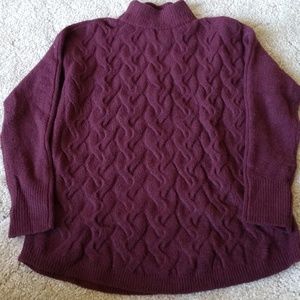 Wine Long Sleeve Turtle Neck Sweater